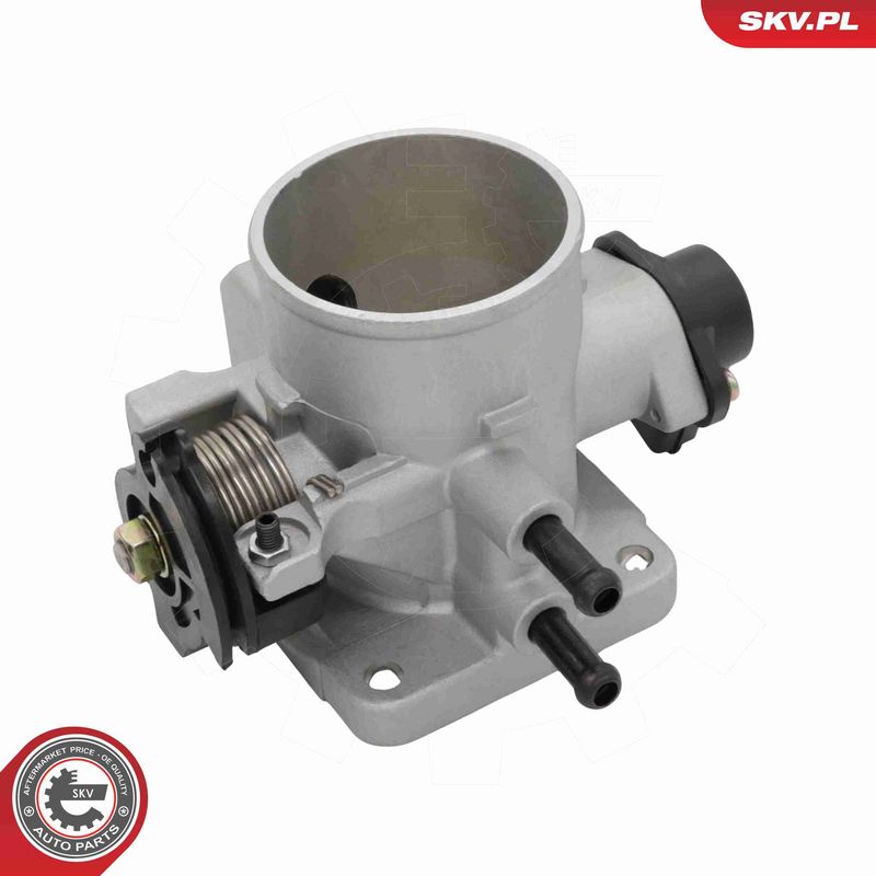 ESEN SKV 12SKV169 Throttle Body