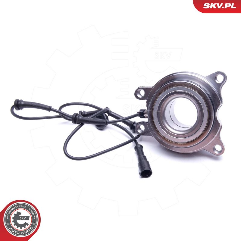 Rattalaagrikomplekt, ESEN SKV 29SKV493