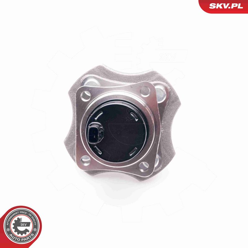 ESEN SKV 29SKV091 Wheel Bearing Kit