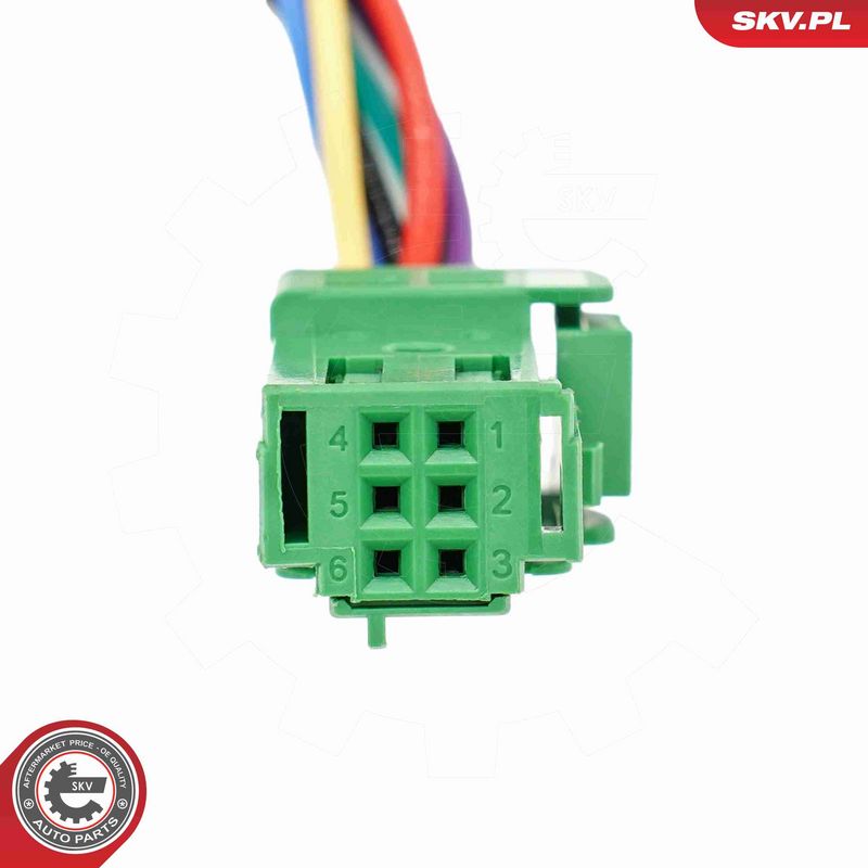 ESEN SKV 52SKV264 Electric Motor, tailgate