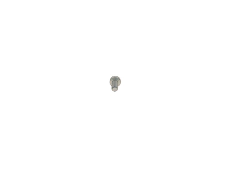 Surub 2 912 738 193 BOSCH