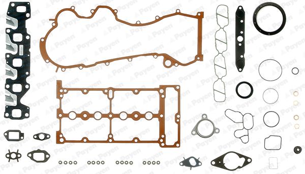 Повний комплект ущільнень, двигун, Payen FD5820