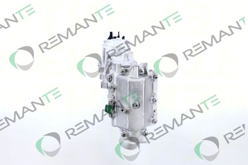REMANTE 010-001-000019R EGR Module