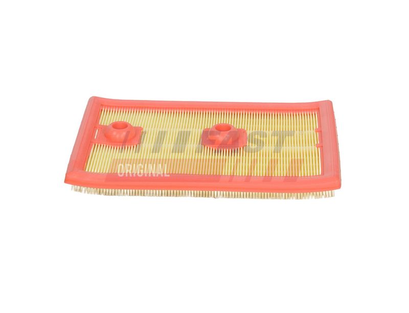 FAST FT13726 Oro filtras
