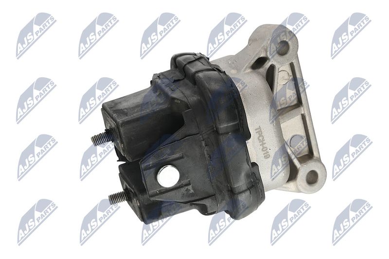 Paigutus, Mootor, NTY ZPS-CH-019