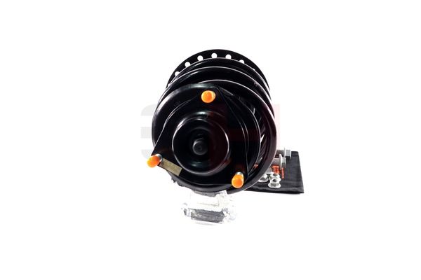 Vedruamort, GH GH-353057C01