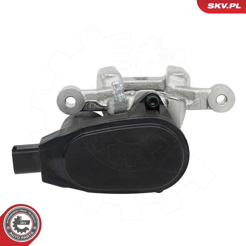 Pidurisadul, ESEN SKV 79SKV734