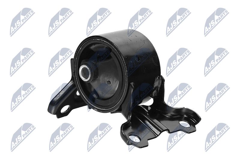 Paigutus, Mootor, NTY ZPS-CH-179