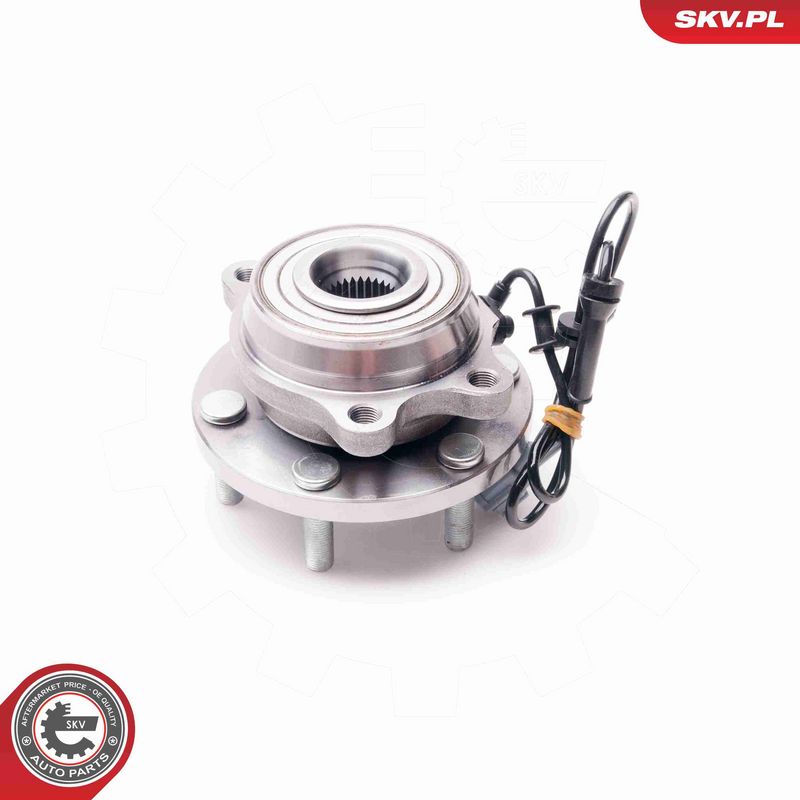 ESEN SKV 29SKV131 Wheel Bearing Kit