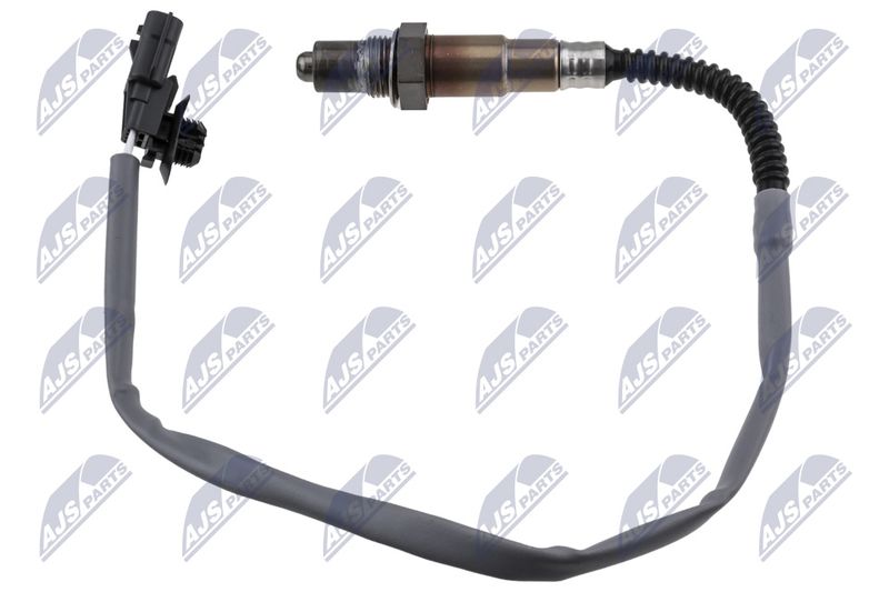 ESL-RE-011_1-WM.JPG