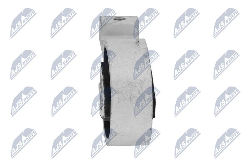 Paigutus, Mootor, NTY ZPS-FR-038