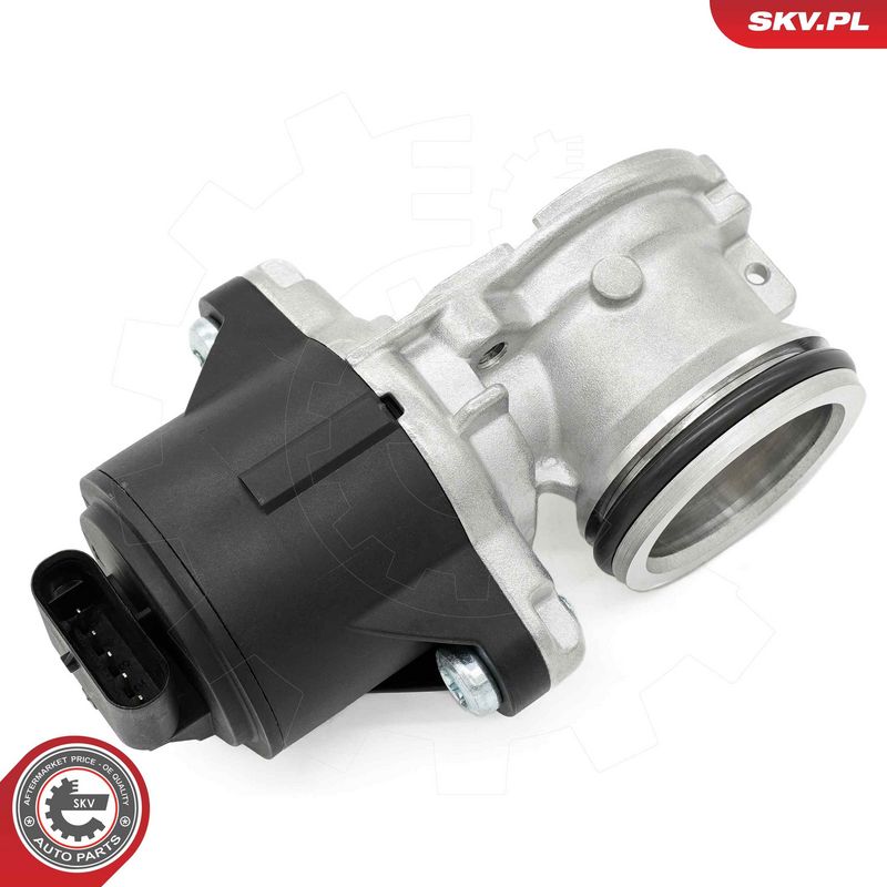 EGR-klapp, ESEN SKV 14SKV275