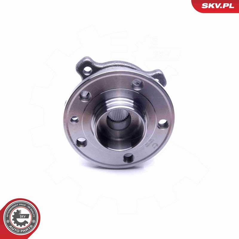 ESEN SKV 29SKV266 Wheel Bearing Kit