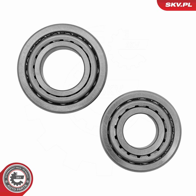 ESEN SKV 85SKV101 Wheel Bearing Kit