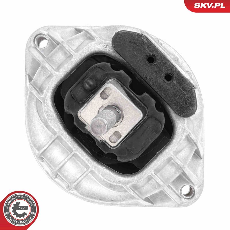 Paigutus, Mootor, ESEN SKV 75SKV247