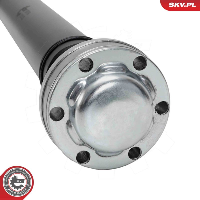 Prekės atitinka OEM kodą: 1664102601-80
