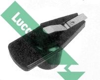 04_DRB5006_971726.JPG