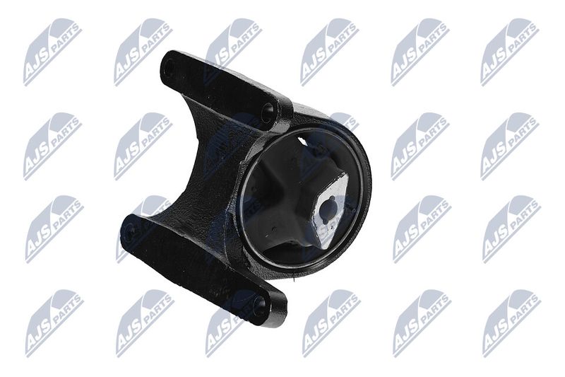 Paigutus, Mootor, NTY ZPS-CH-008