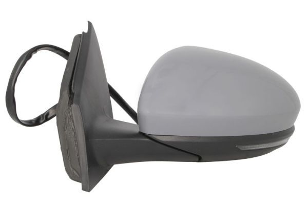 BLIC 5402-09-1231365P Exterior Mirror