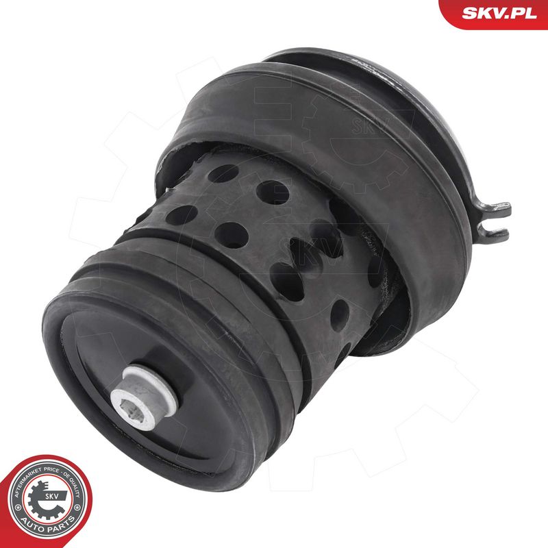 Paigutus, Mootor, ESEN SKV 75SKV238