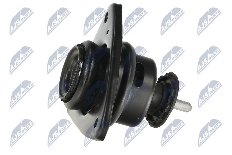 Paigutus, Mootor, NTY ZPS-KA-306