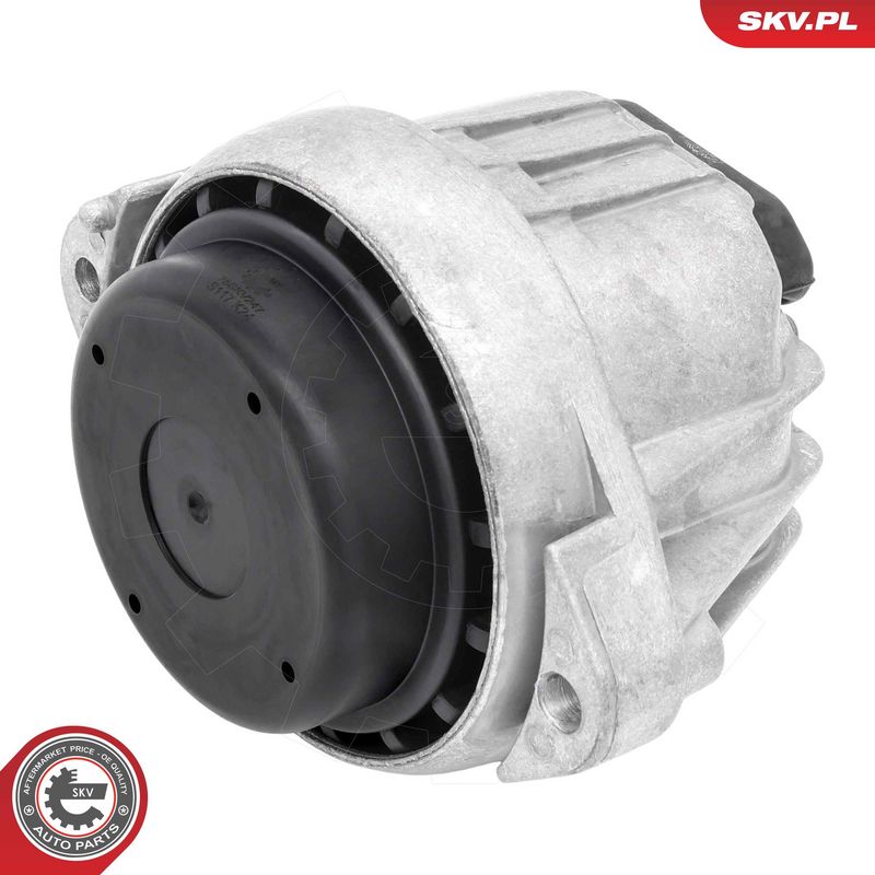 Paigutus, Mootor, ESEN SKV 75SKV247