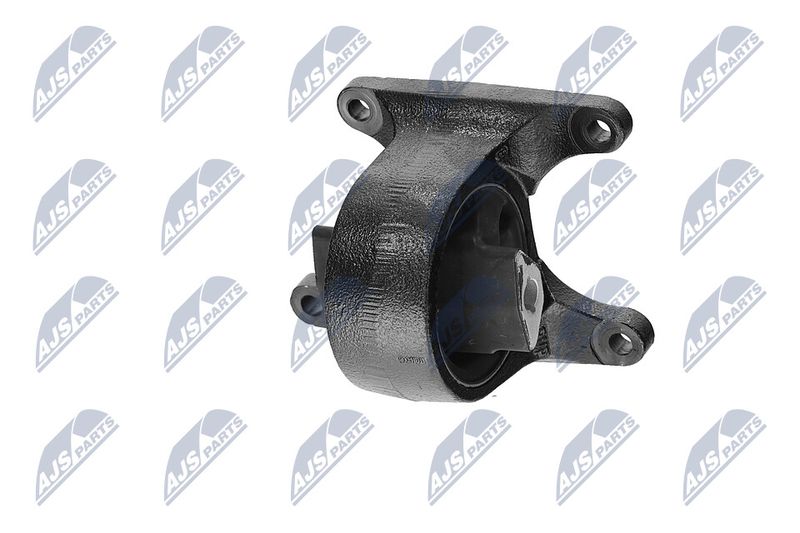 Paigutus, Mootor, NTY ZPS-CH-008