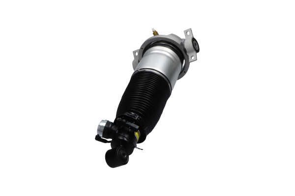 Kavo Parts SAS-10043 Air Suspension Strut