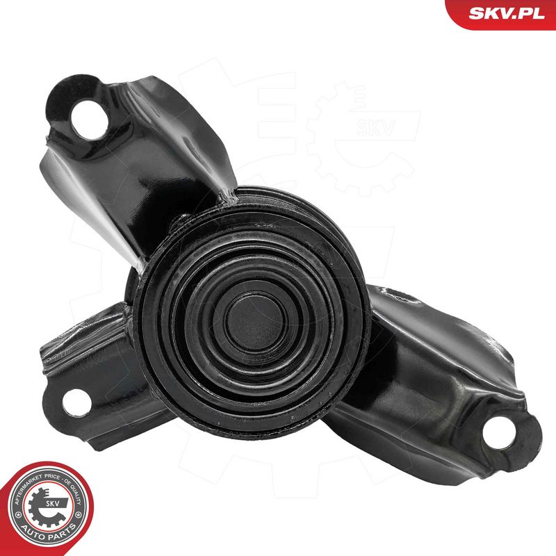 Paigutus, Mootor, ESEN SKV 75SKV281