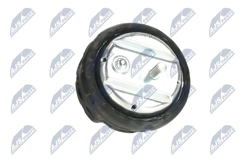 Paigutus, Mootor, NTY ZPS-BM-014