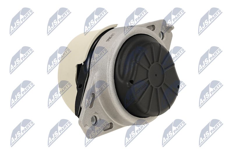 Paigutus, Mootor, NTY ZPS-ME-077