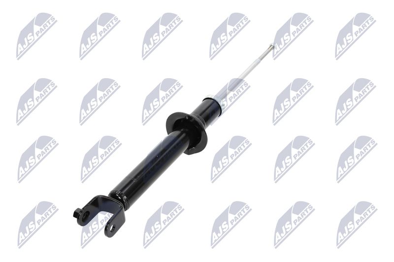Amort, NTY A-CH-055