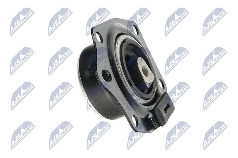 Paigutus, Mootor, NTY ZPS-CH-014