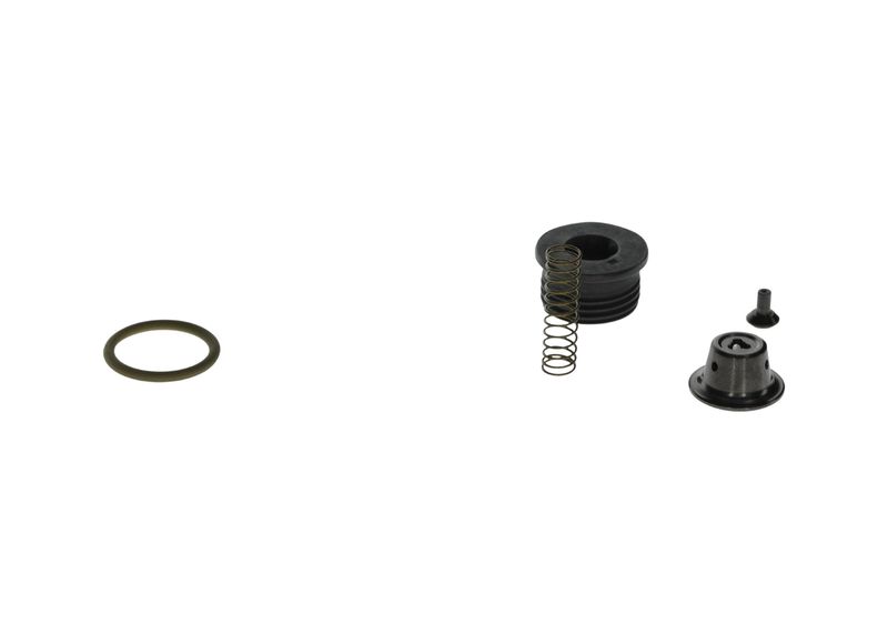 Set reparatie,sistem common-rail F 00N 203 059 BOSCH