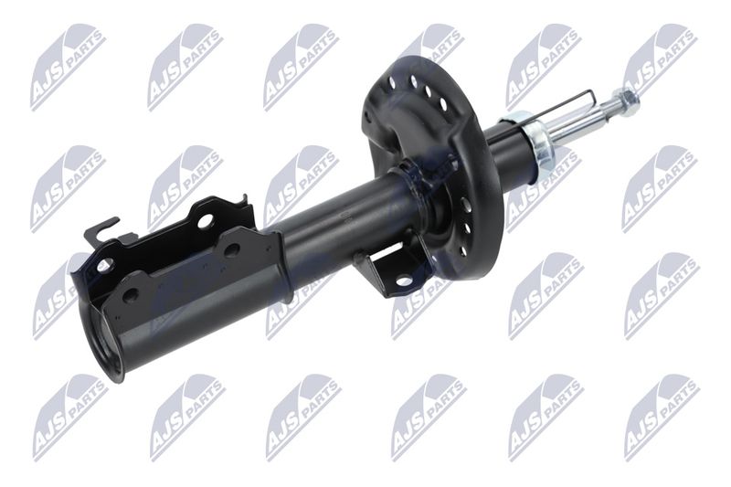Amort, NTY A-PL-029
