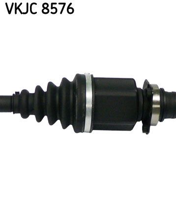 VKJC 8576_3.JPG