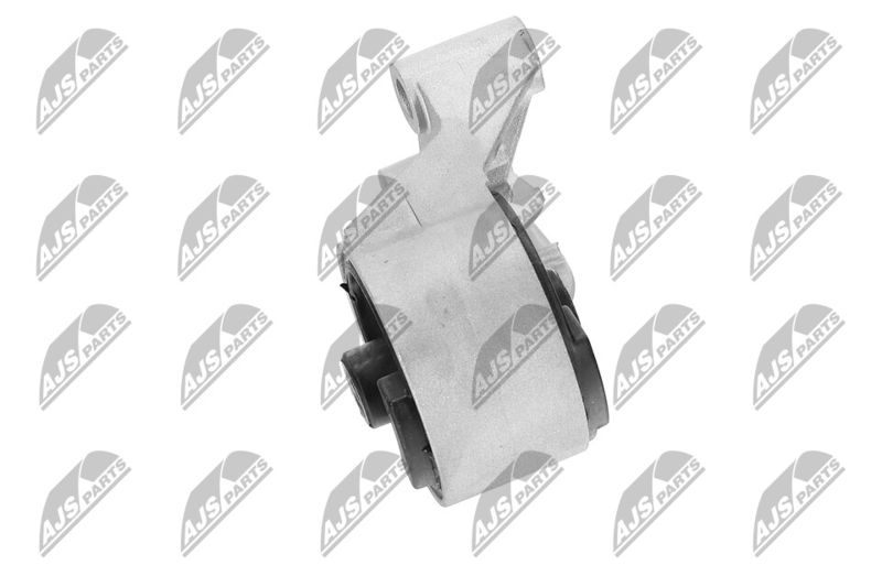 Paigutus, Mootor, NTY ZPS-PL-069