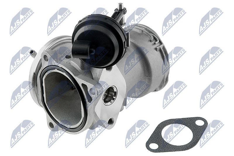 EGR-klapp, NTY EGR-SE-000