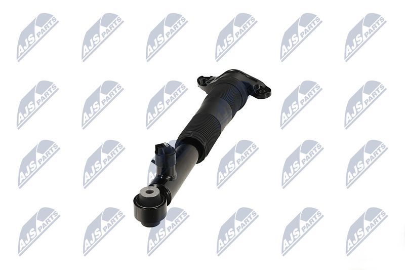 Amort, NTY A-LR-037