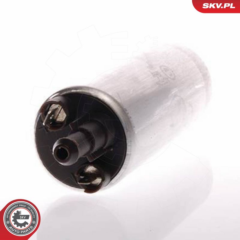 ESEN SKV 02SKV255 Fuel Pump