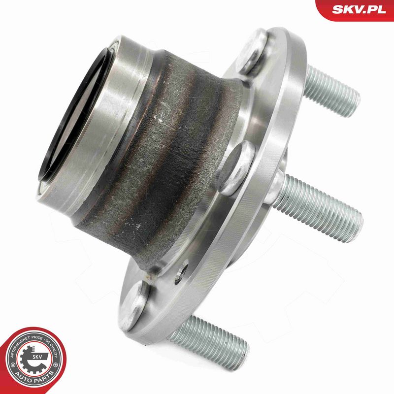 ESEN SKV 29SKV617 Wheel Bearing Kit
