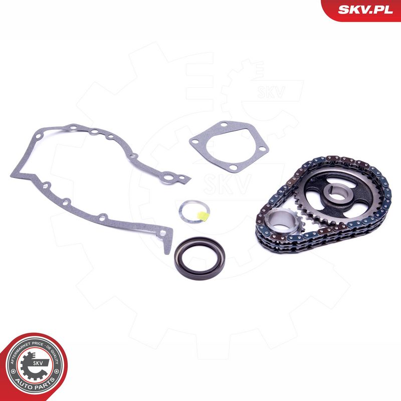Mootori keti komplekt, ESEN SKV 21SKV218