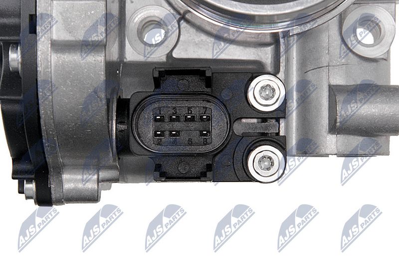 etb-vw-013_7-wm.JPG