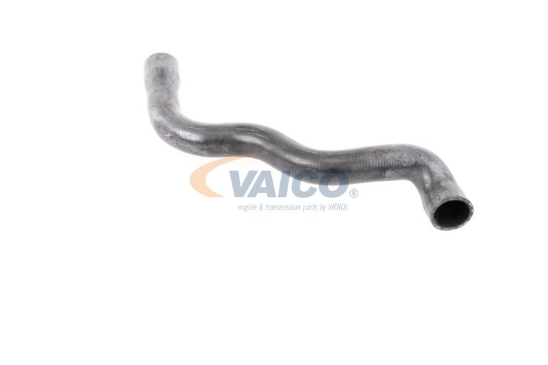 VAICO V30-2915 Radiator Hose
