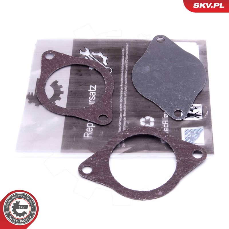 Remondikomplekt, EGR-klapp, ESEN SKV 14SKV574