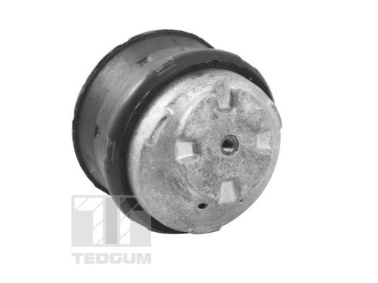 TED81021_#3.JPG