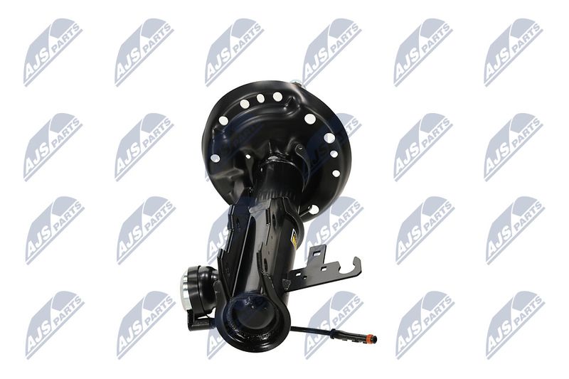 Amort, NTY A-PL-062