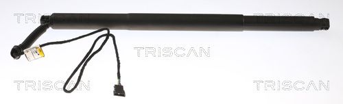 TRISCAN Gasveer, kofferruimte 8710 11311