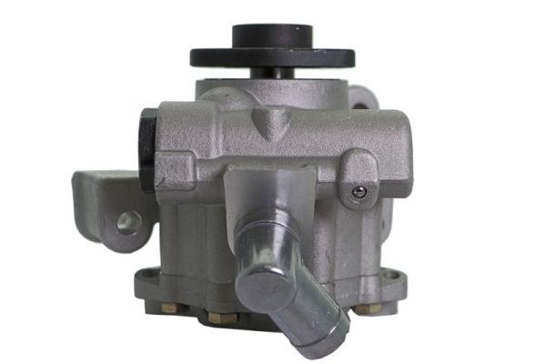 LAUBER 55.1031 Hydraulic Pump, steering