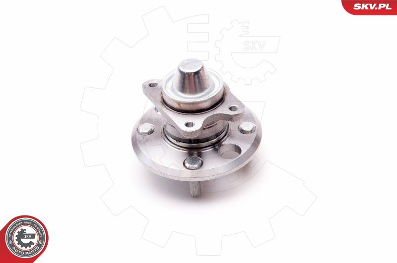 ESEN SKV 29SKV111 Wheel Bearing Kit